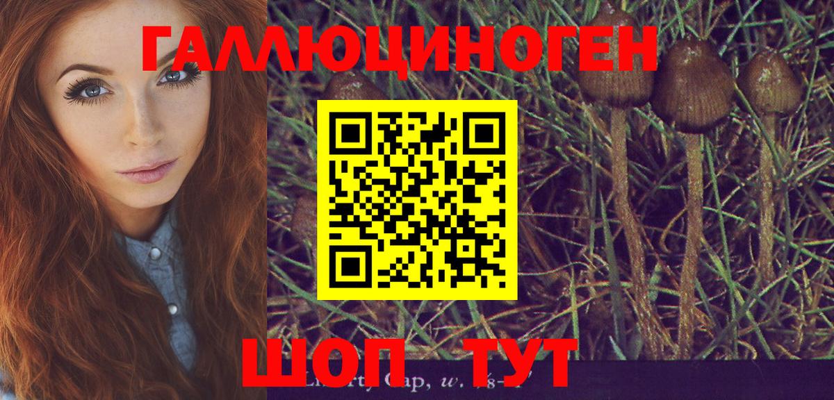 Псилоцибиновые грибы мицелий Долгопрудный