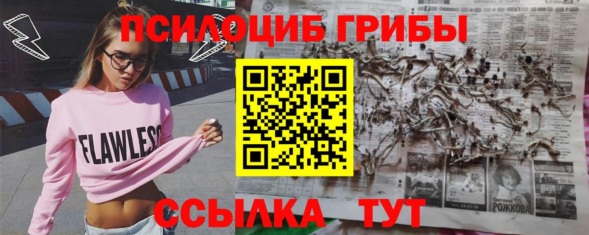 Галлюциногенные грибы Cubensis  Вход с VPN  продажа наркотиков  Долгопрудный 
